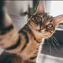 Aditya