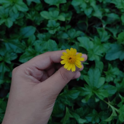 LITTLE LIGHT STORIES 