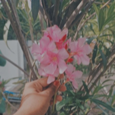 saranya saminathan