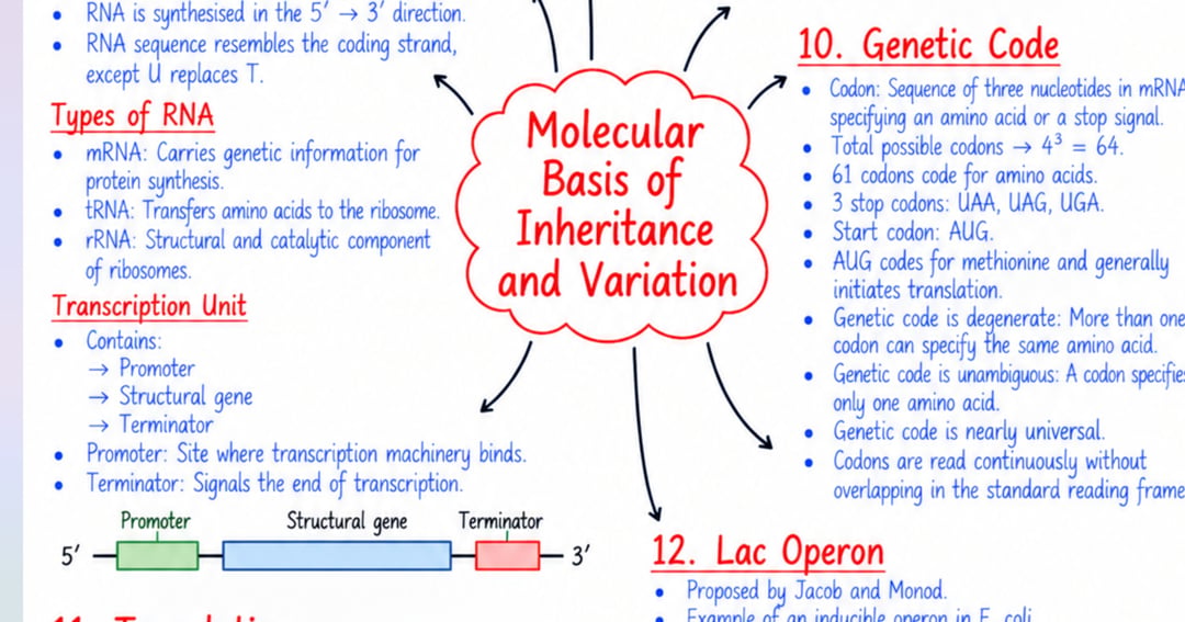 Biology Class 12 Short Notes