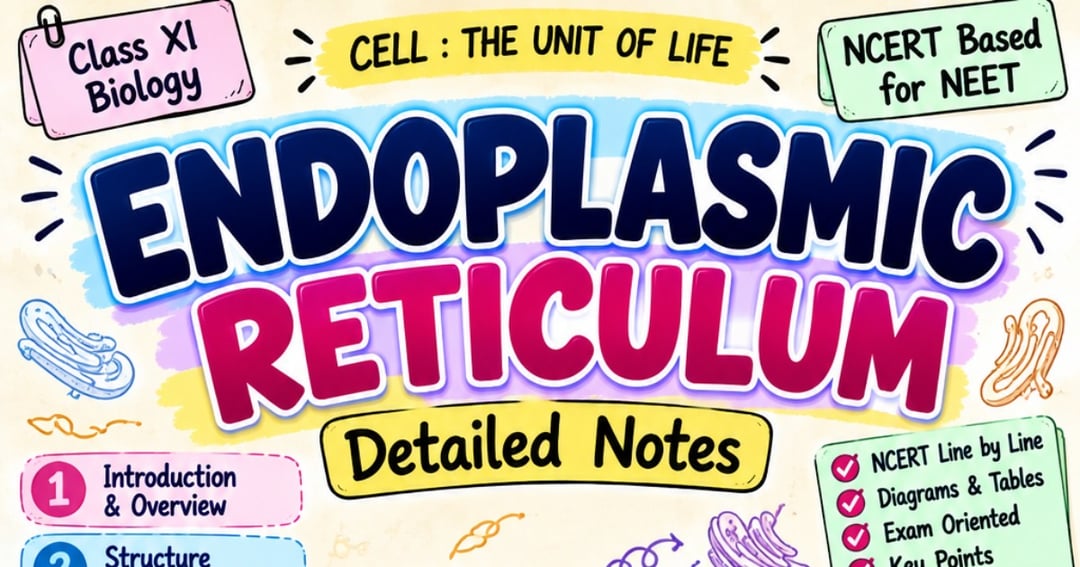 Endoplasmic Reticulum – NEET Biology Ebook | NCERT-Based Complete Notes 📚