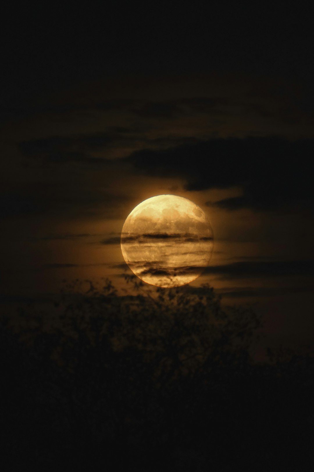 The midnight spell