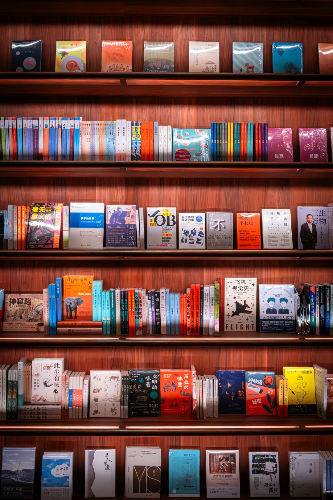 650+ Ebooks collection, image 3