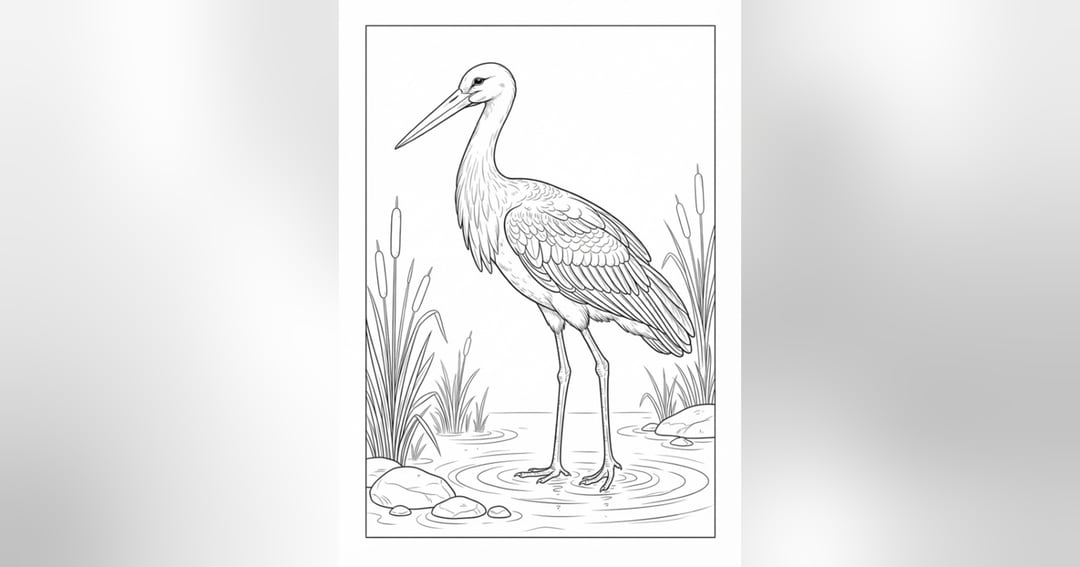 Birds Coloring Book for Kids | 19 Printable Coloring Illustrations | Digital PDF, image 4