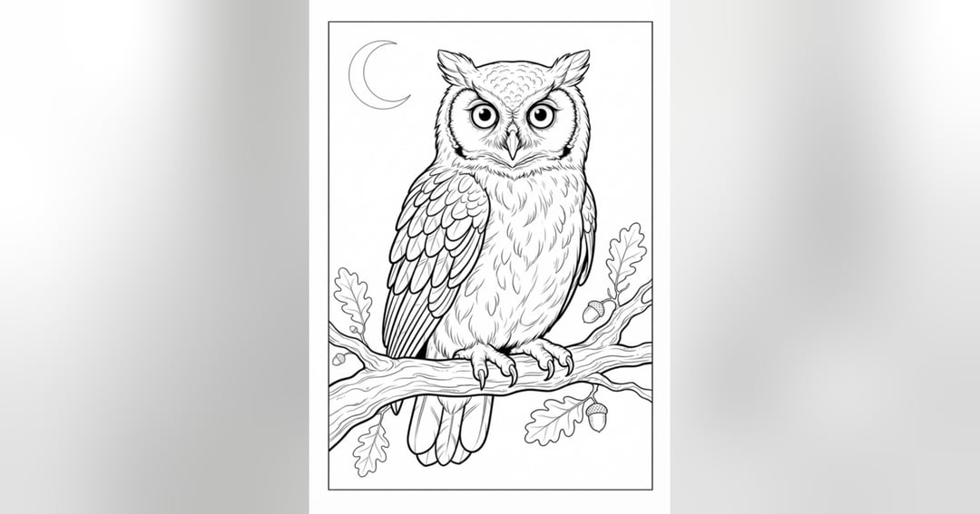 Birds Coloring Book for Kids | 19 Printable Coloring Illustrations | Digital PDF, image 3