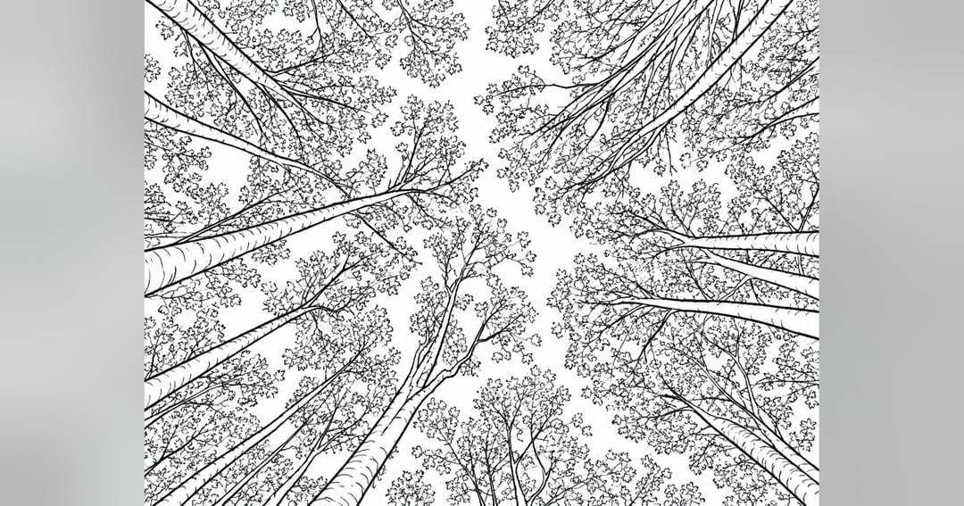 Fill me with colors of nature, image 3