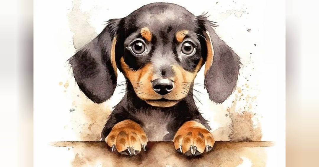 Simba’s World: The Complete Dachshund Care Guide, image 2