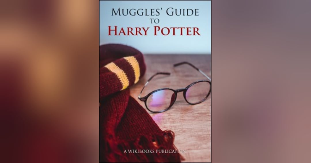 MUGGLES' GUIDE TO HARRY POTTER