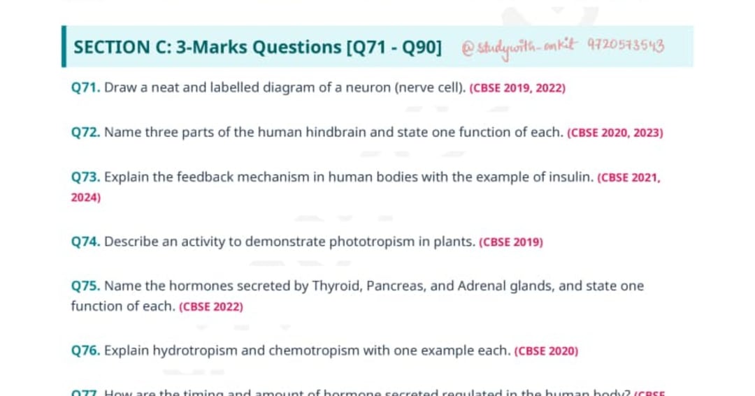 MATHS PYQ  CLASS 10 CBSE 2026-27, image 2