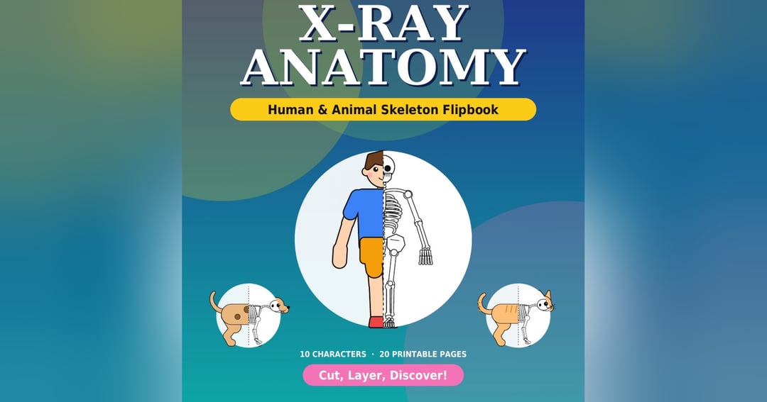 X-Ray Anatomy: Human & Animal Skeleton Flipbook | Printable Educational Ebook
