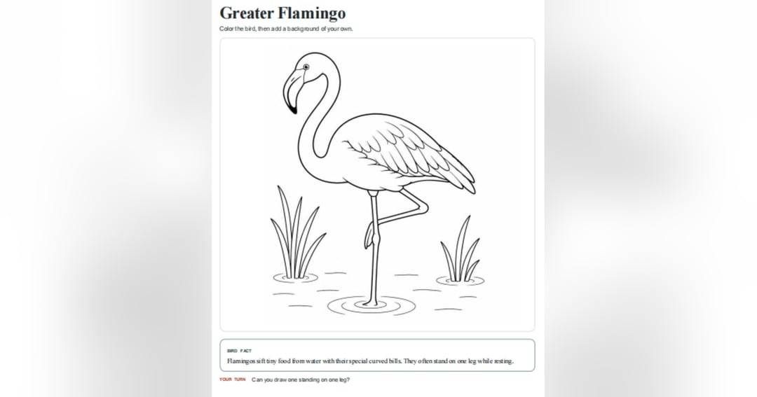 Birds of India Coloring Book for Kids, image 3
