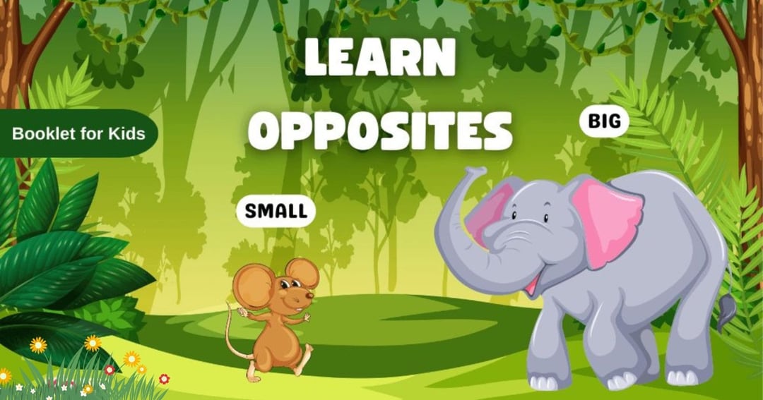 Learn Opposite words