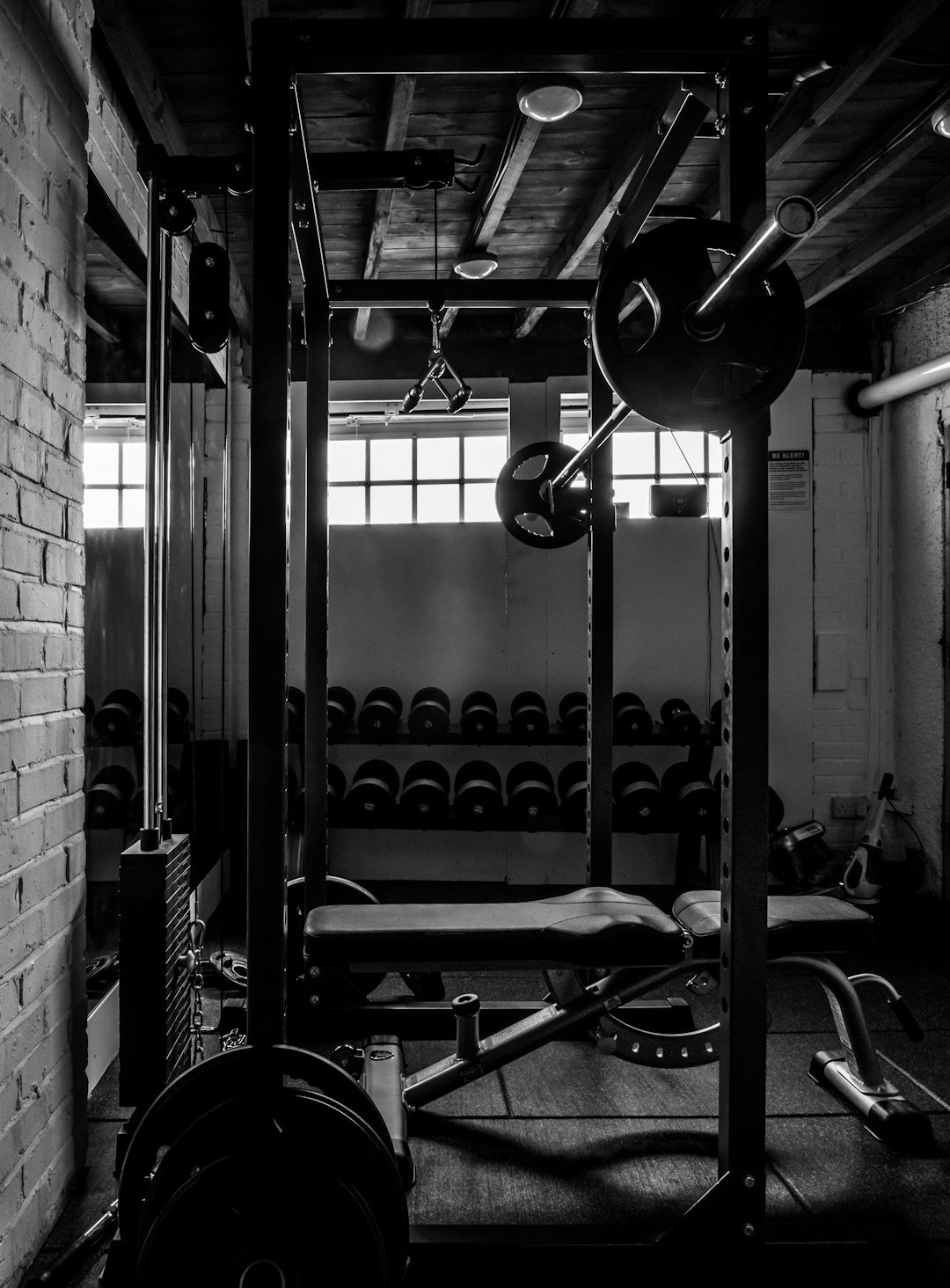 The Gym Blueprint: The Ultimate Beginner's Guide to Building Muscle & Strength, image 3