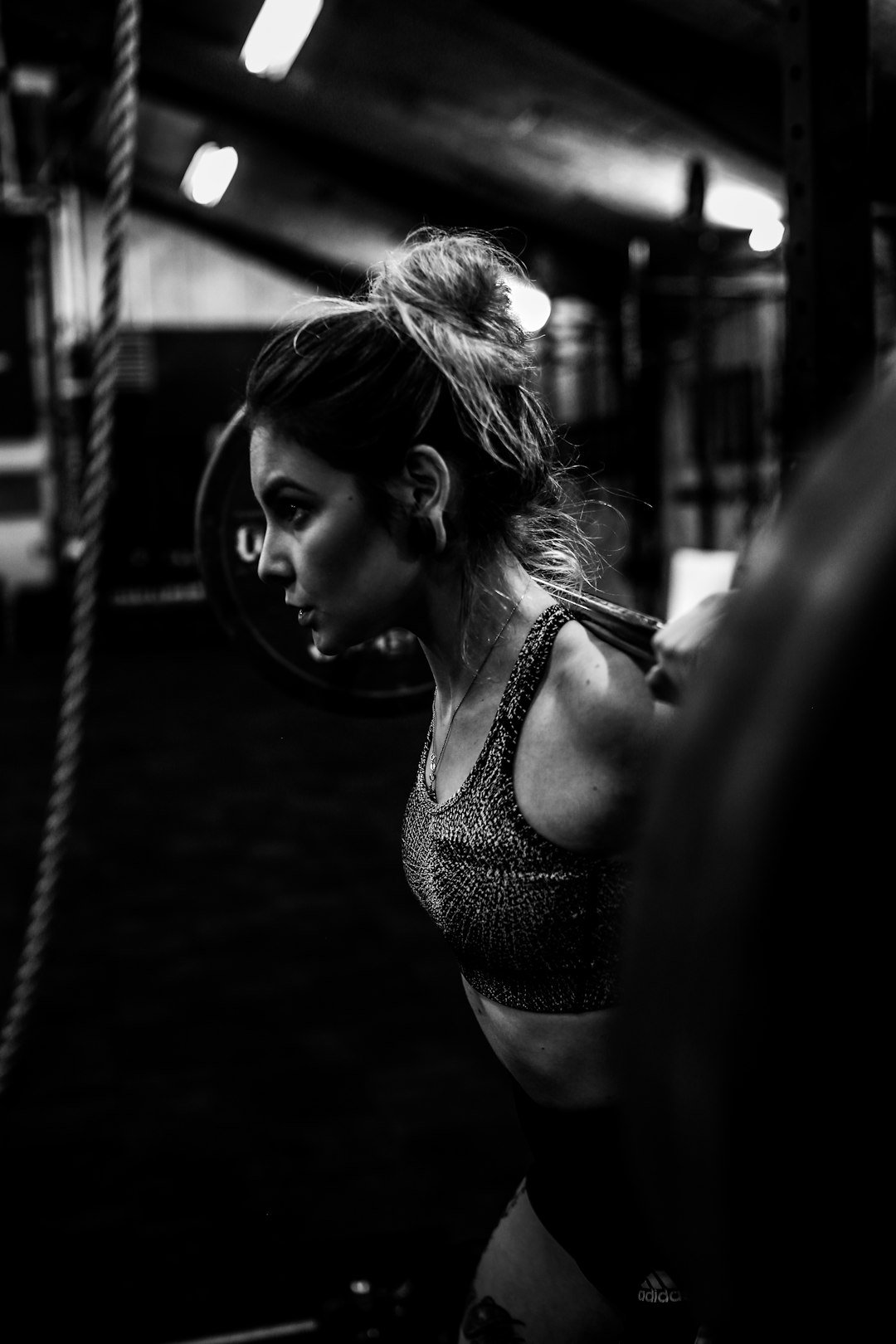 The Gym Blueprint: The Ultimate Beginner's Guide to Building Muscle & Strength, image 2