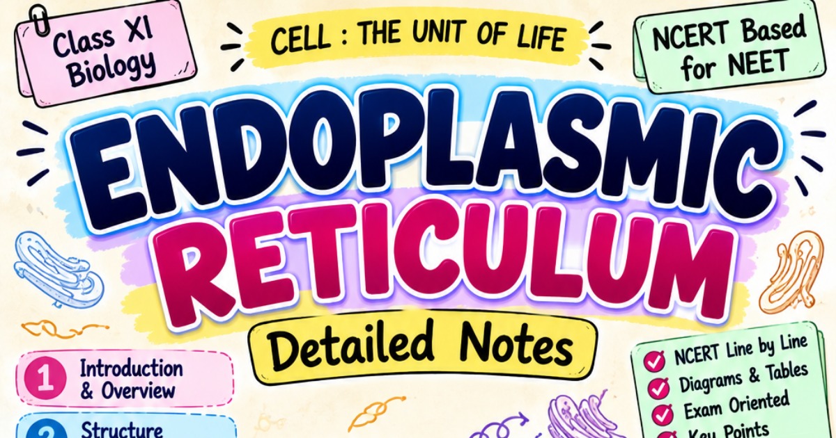 Endoplasmic Reticulum – NEET Biology Ebook | NCERT-Based Complete Notes 📚
