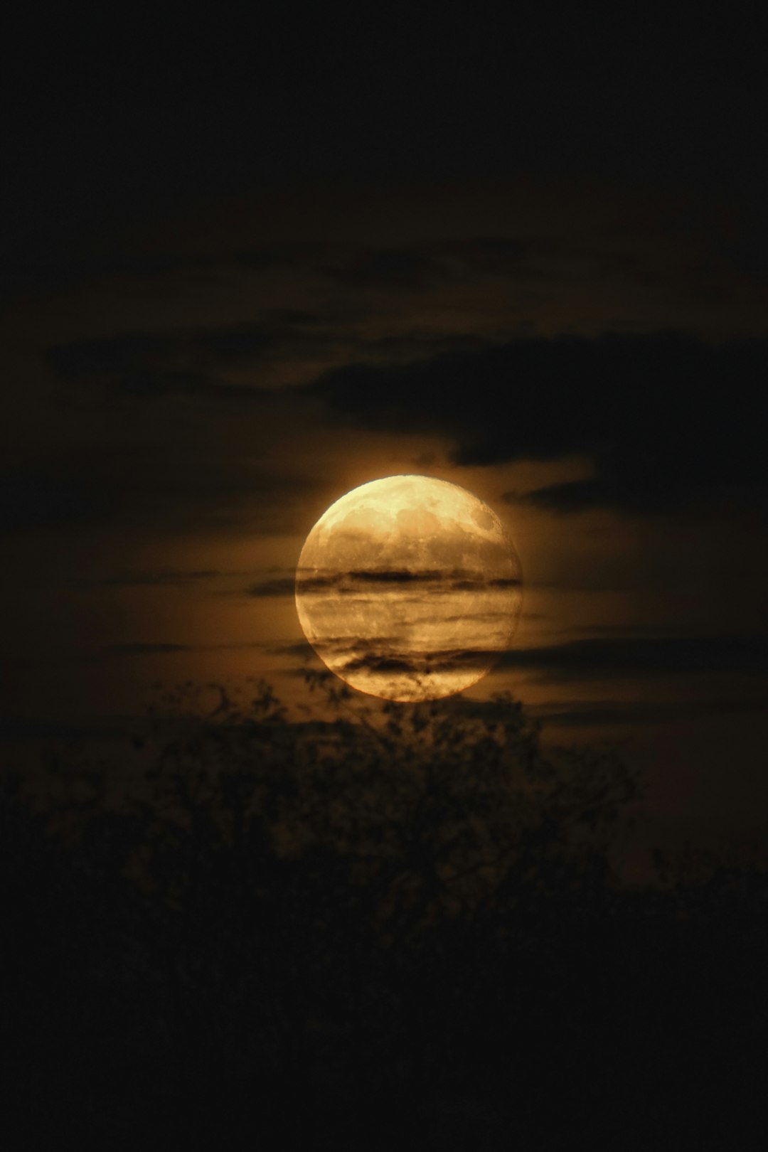The midnight spell
