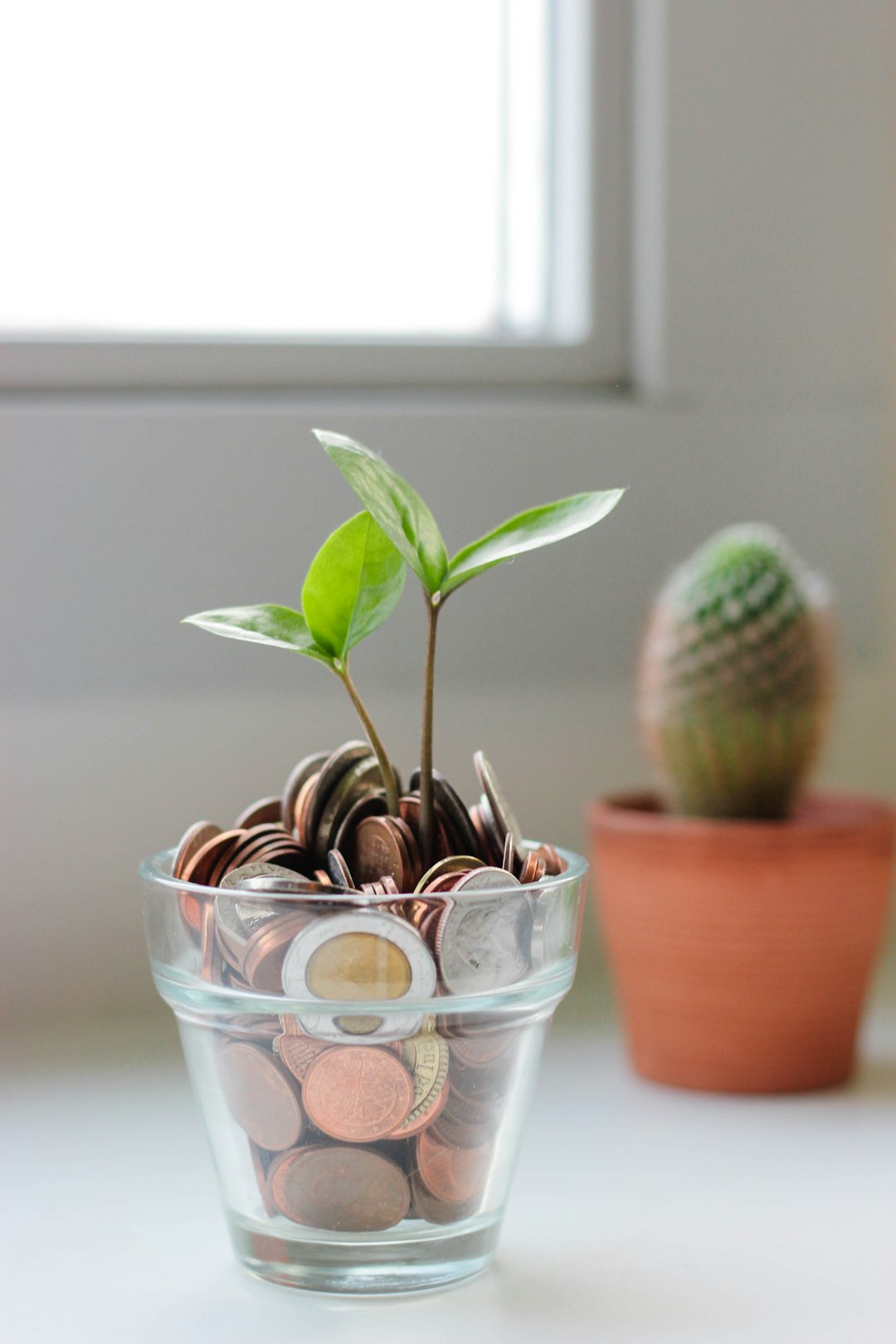 Money Smart A biginners guide