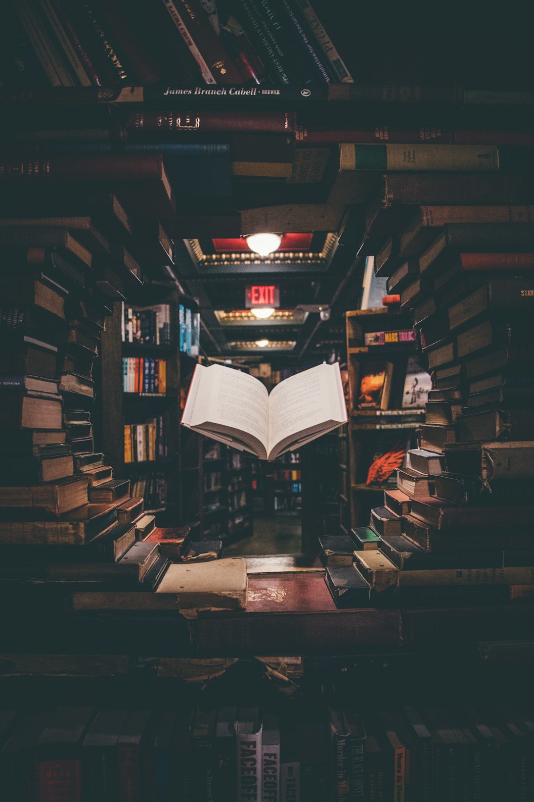 100+ Viral E-Book Topics, image 2