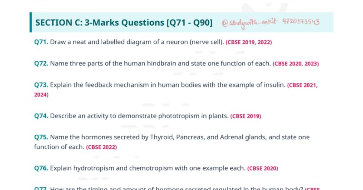 MATHS PYQ  CLASS 10 CBSE 2026-27, image 2