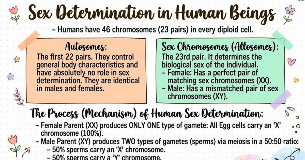 SCIENCE NOTES CLASS 10 CBSE 2026-27, image 3