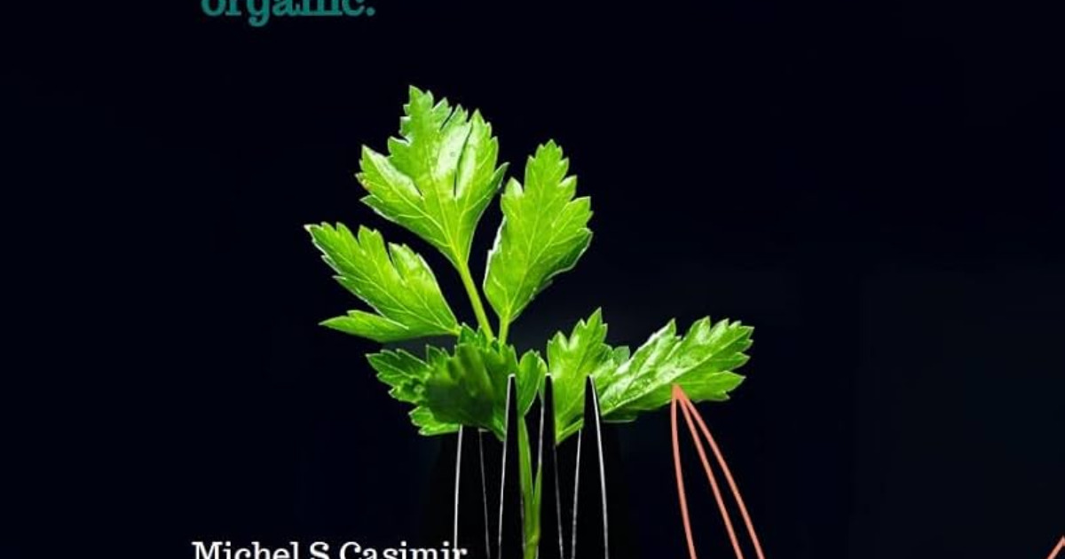 plant protein based e book, image 2