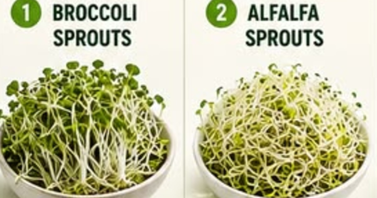 Fuel Your Fitness with Fresh Microgreen, image 2
