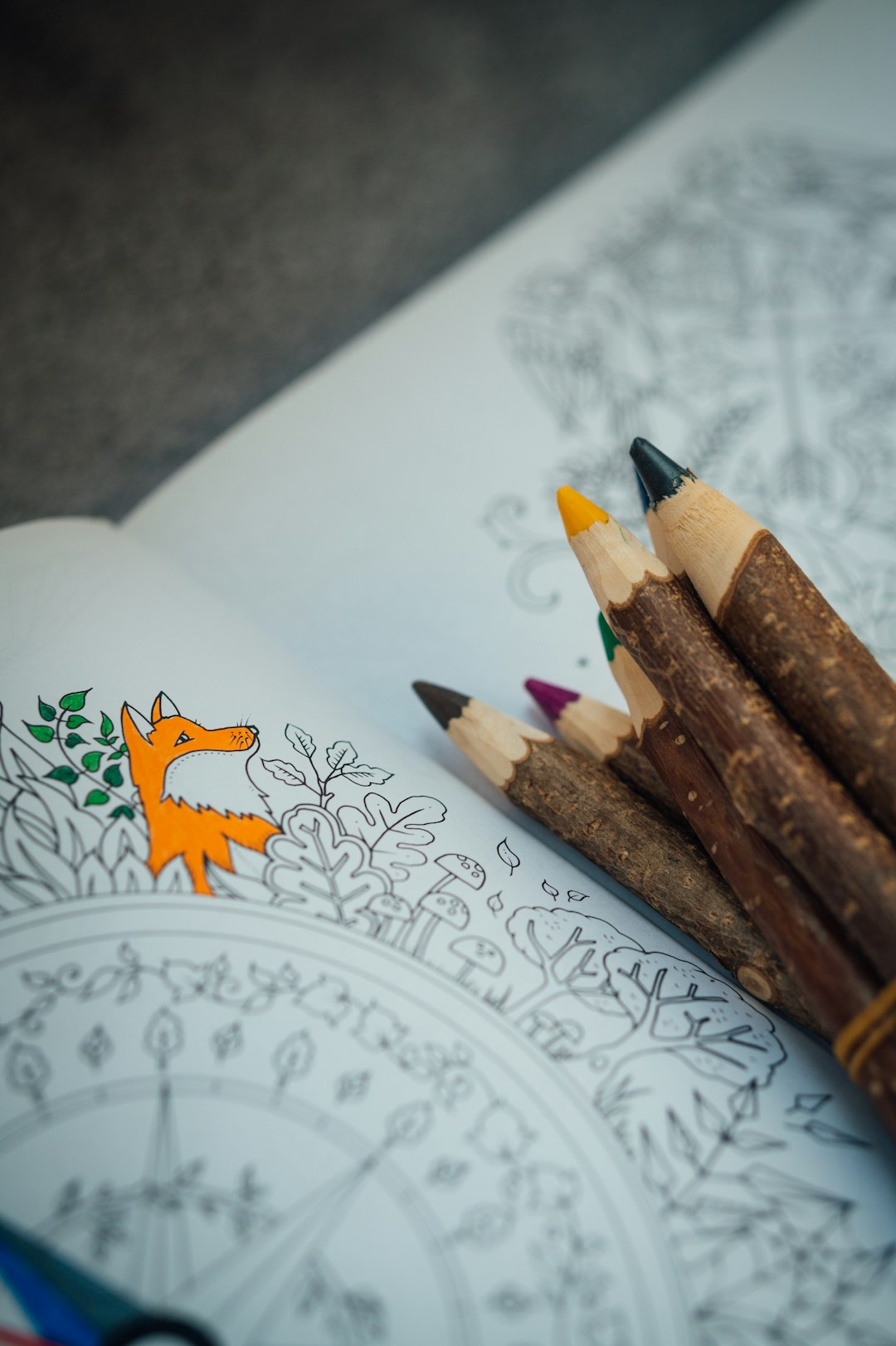 Cute Animals children's drawing book   Chapter-1
