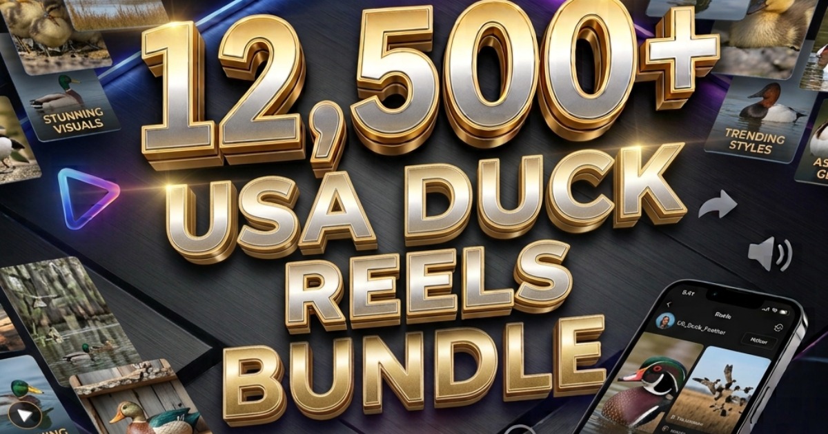 50,000 Reels Package β image 2