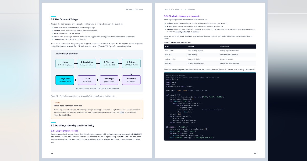 Malware Analysis From Fundamentals to Threat Intelligence, image 2