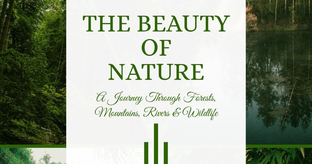 The Beauty of Nature